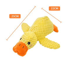 Calming Duck Toy