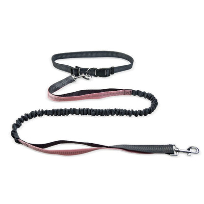 Dog Walking Belt with Detachable Shockproof Leash