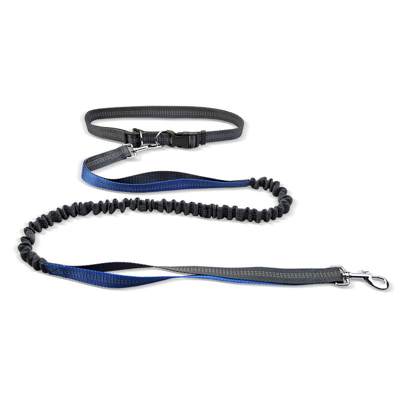 Dog Walking Belt with Detachable Shockproof Leash